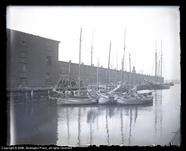 T Wharf South Dock and Long Wharf Italian Fishing Boats